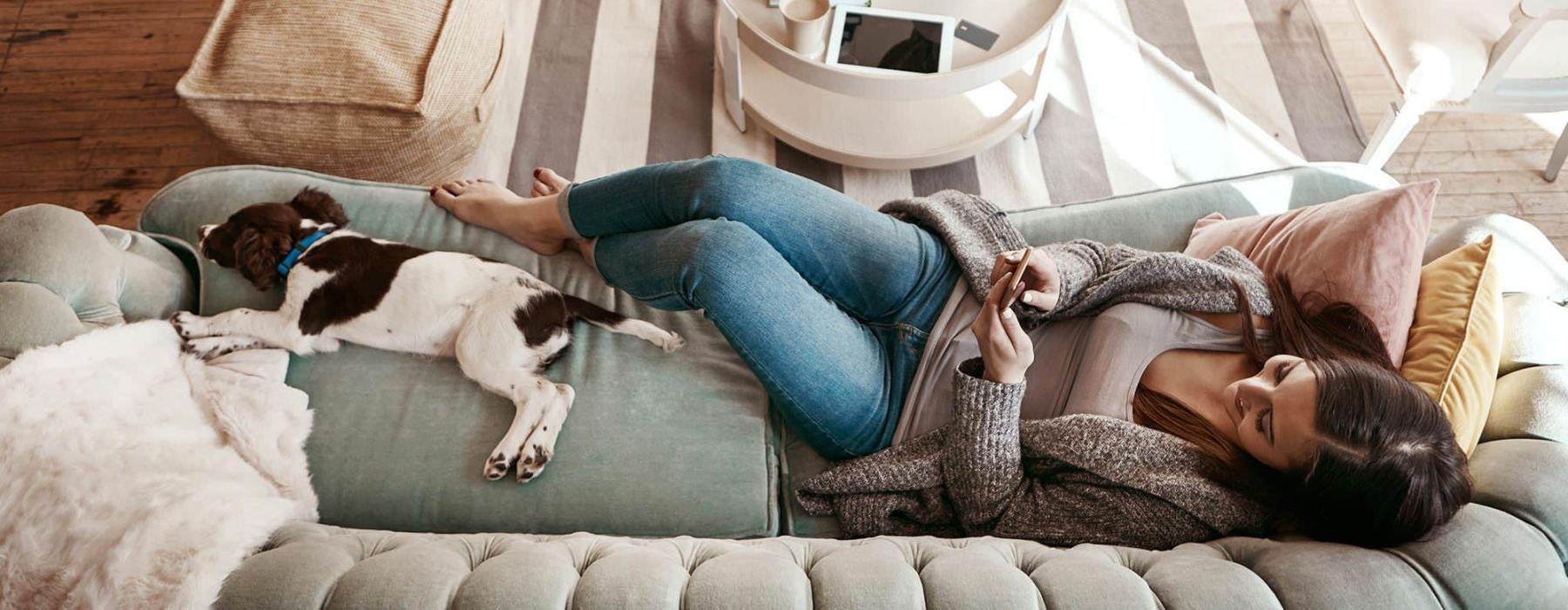 overhead view of  a woman texting as she lies on a couch with a dog at her feet